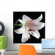 White Lily Wall Mural