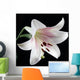White Lily Wall Mural