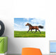 Hanoverian Horse Trots - Realistic Photomontage Wall Mural