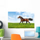 Hanoverian Horse Trots - Realistic Photomontage Wall Mural