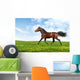 Hanoverian Horse Trots - Realistic Photomontage Wall Mural