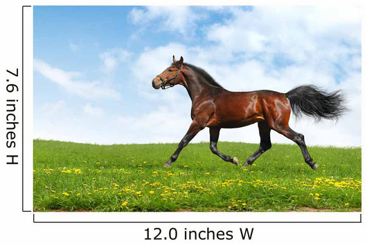 Hanoverian Horse Trots - Realistic Photomontage Wall Mural