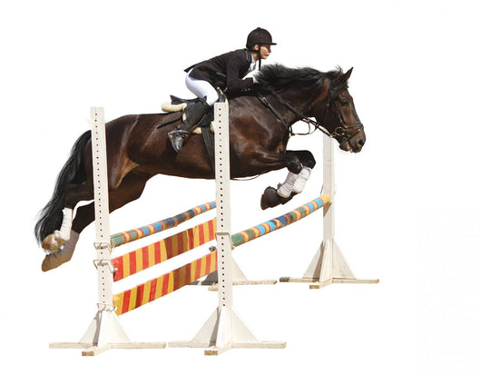 Show Jumping - Isolated on White Wall Decal