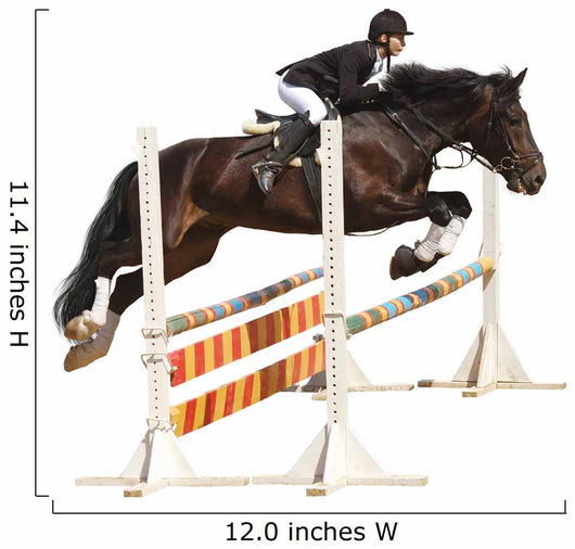Show Jumping - Isolated on White Wall Decal