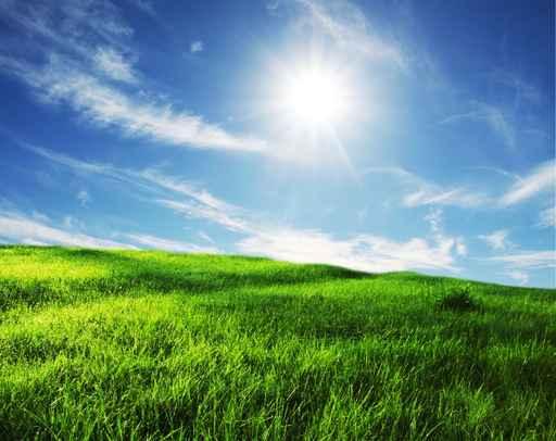 Field and Sky Wall Decal Design 2
