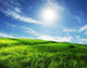 Field and Sky Wall Decal Design 2