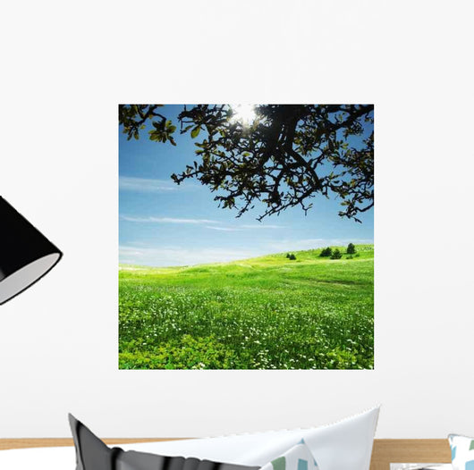 Natural Wall Decal