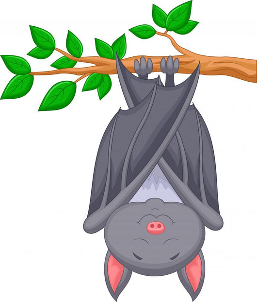 Cartoon Bat Sleeping Wall Decal