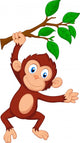 Cute monkey cartoon hanging Wall Decal