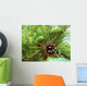 Pine cones new and dry Wall Mural