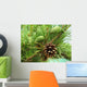 Pine cones new and dry Wall Mural