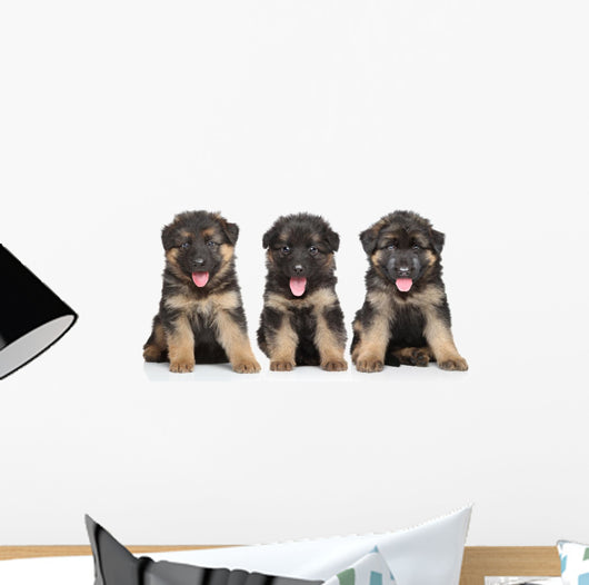 German Shepherd Puppies Wall Decal