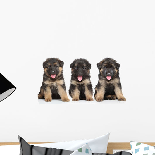 German Shepherd Puppies Wall Decal