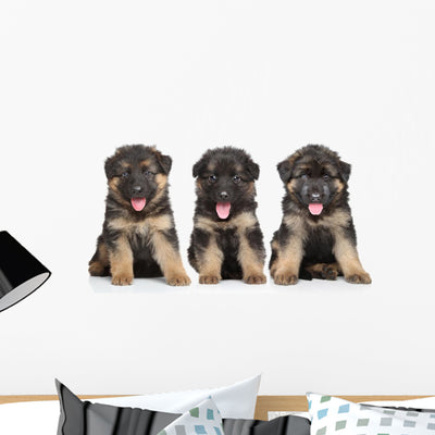 German Shepherd Puppies Wall Decal shown on a wall