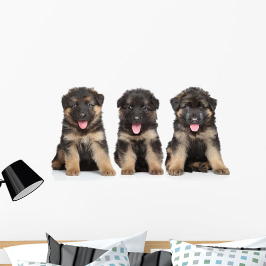 German Shepherd Puppies Wall Decal