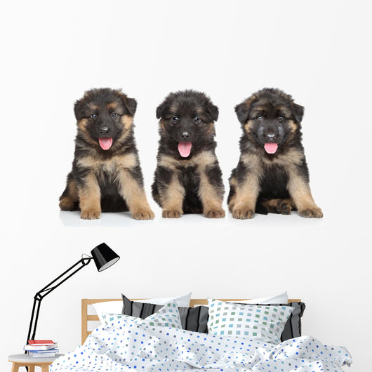 German Shepherd Puppies Wall Decal