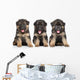 German Shepherd Puppies Wall Decal