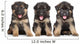 German Shepherd Puppies Wall Decal