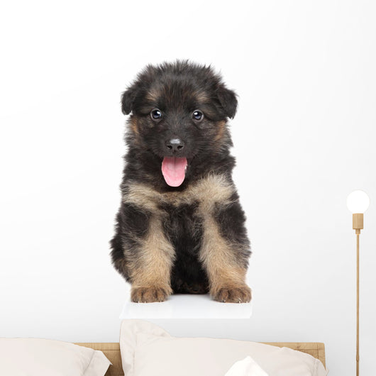 German Shepherd Puppy Wall Decal Design 1