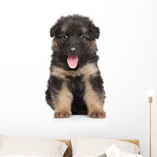 German Shepherd Puppy Wall Decal Design 1