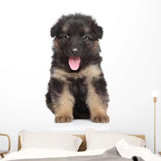 German Shepherd Puppy Wall Decal Design 1