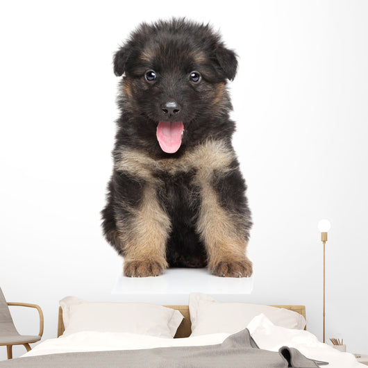 German Shepherd Puppy Wall Decal Design 1