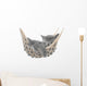 Cute gray kitten lying in hammock Wall Mural