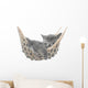 Cute gray kitten lying in hammock Wall Mural