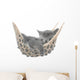 Cute gray kitten lying in hammock Wall Mural