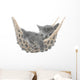 Cute gray kitten lying in hammock Wall Mural