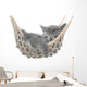 Cute gray kitten lying in hammock Wall Mural