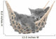 Cute gray kitten lying in hammock Wall Mural