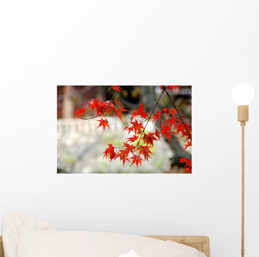 Erable Du Japon Wall Decal