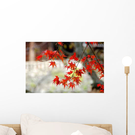 Erable Du Japon Wall Decal
