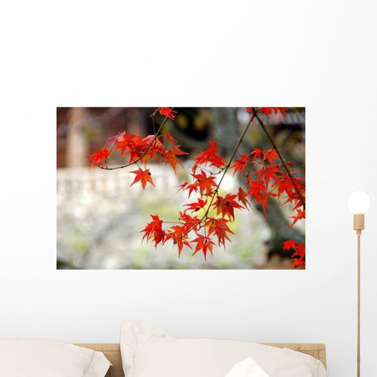 Erable Du Japon Wall Decal