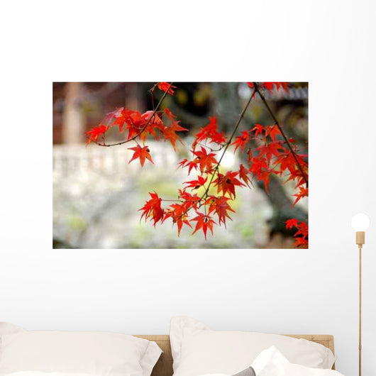 Erable Du Japon Wall Decal