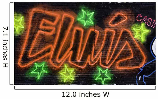 Elvis Wall Mural