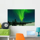 X Flare Aurora Cleary Wall Decal