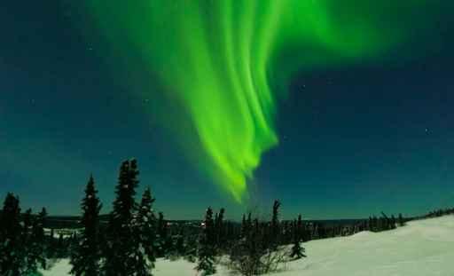 X Flare Aurora Cleary Wall Decal