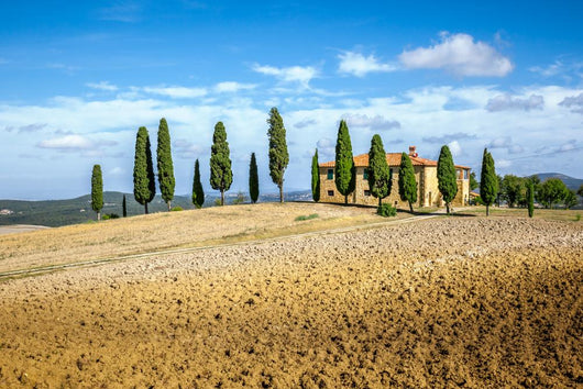 Tuscany House 