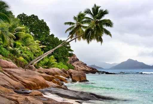 Grand Coast Ladigue Wall Decal