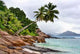 Grand Coast Ladigue Wall Decal