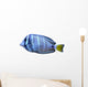 angelfish fish Wall Decal