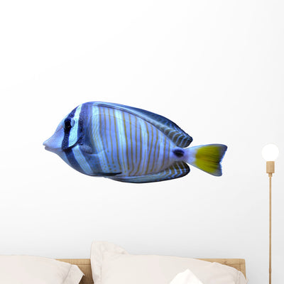 Angelfish Fish Wall Decal shown on a wall