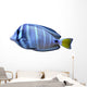 angelfish fish Wall Decal