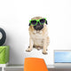 Pug with Sunglasses. Wall Decal