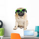 Pug with Sunglasses. Wall Decal