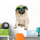 Pug with Sunglasses. Wall Decal