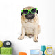 Pug with Sunglasses. Wall Decal