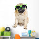 Pug with Sunglasses. Wall Decal